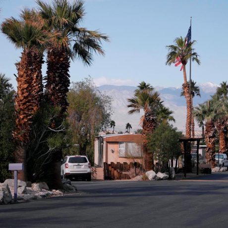 parked car and palm trees