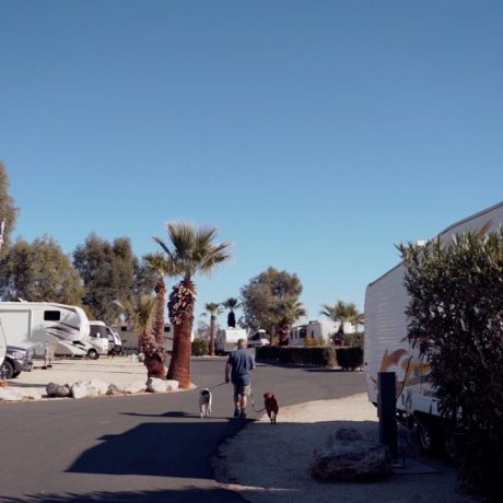 man walking dogs near RVs